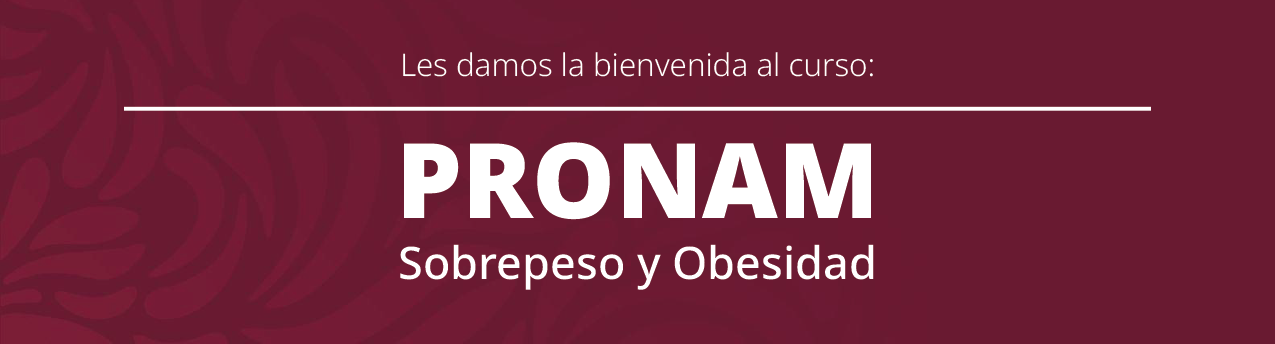 Banner PRONAM SyO
